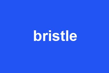 bristle