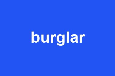 burglar