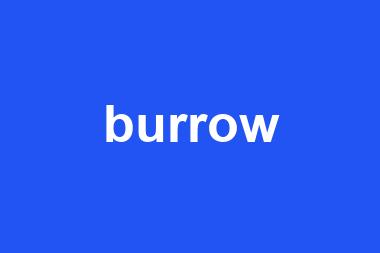 burrow