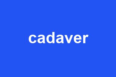 cadaver