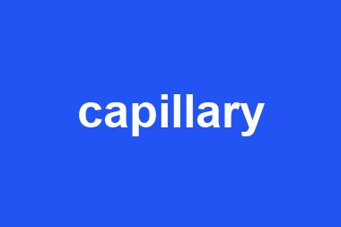 capillary