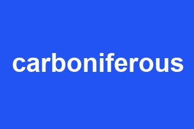 carboniferous