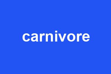 carnivore