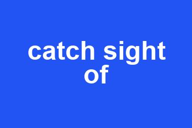 catch sight of