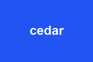 cedar