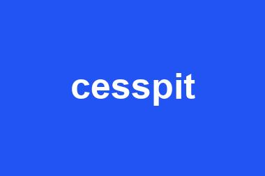 cesspit