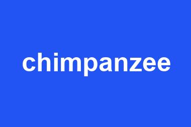 chimpanzee