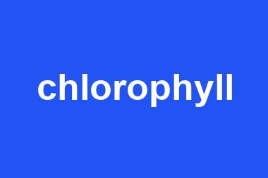 chlorophyll