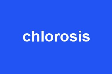 chlorosis