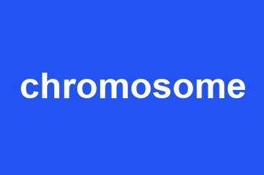 chromosome