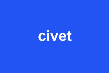 civet