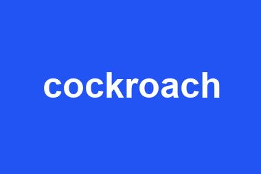 cockroach