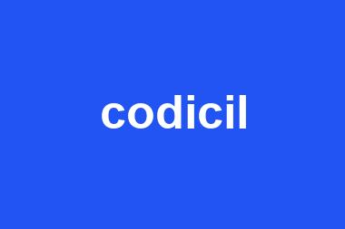 codicil