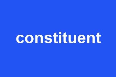 constituent