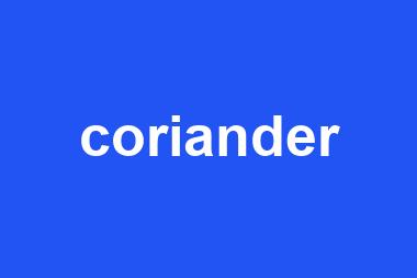 coriander