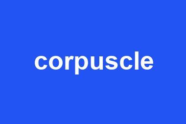 corpuscle