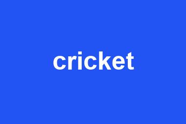 cricket