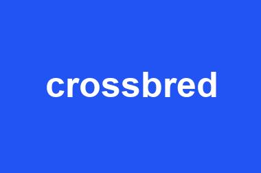 crossbred