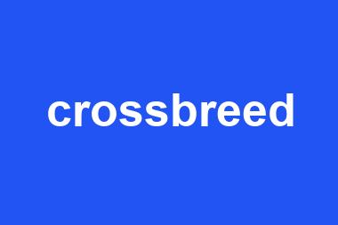 crossbreed