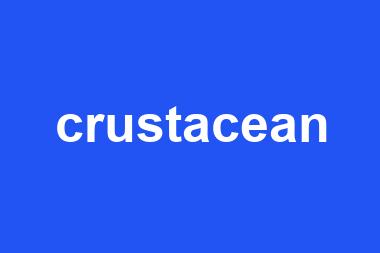 crustacean