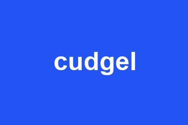 cudgel