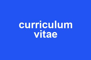 curriculum vitae