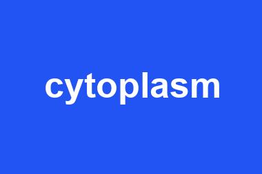 cytoplasm