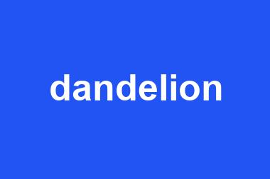 dandelion