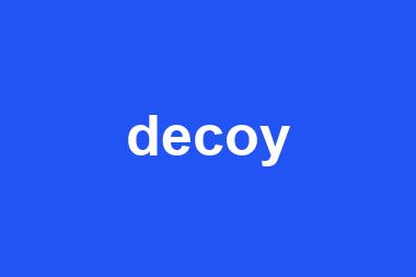 decoy