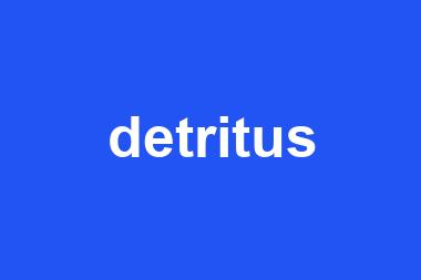 detritus