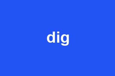 dig