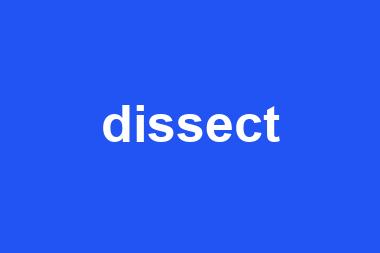 dissect