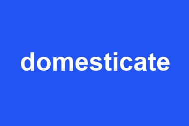 domesticate