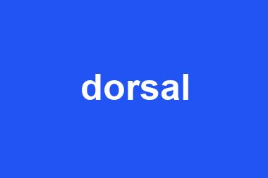 dorsal