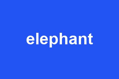 elephant