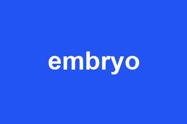 embryo