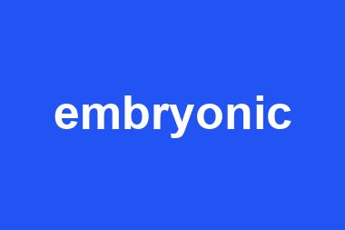 embryonic