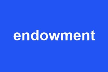 endowment