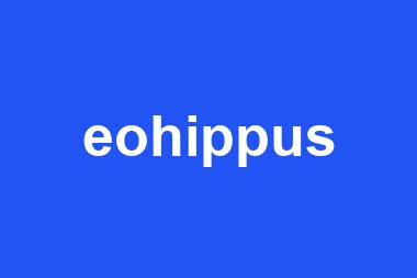 eohippus