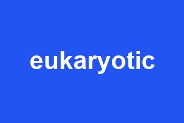 eukaryotic