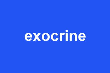 exocrine