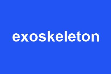 exoskeleton