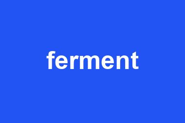 ferment