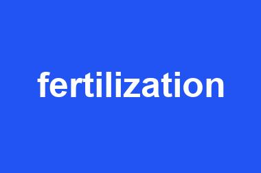 fertilization