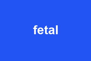 fetal