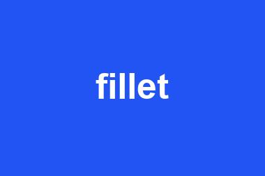 fillet