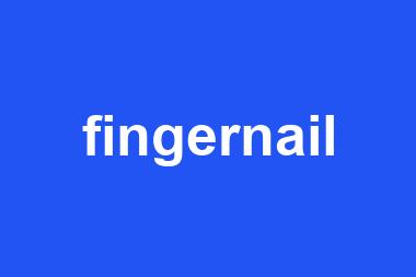 fingernail