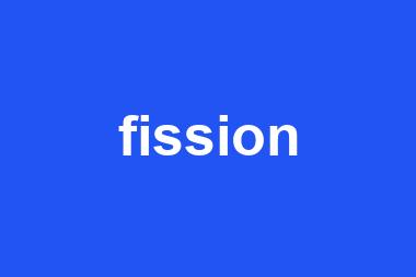 fission