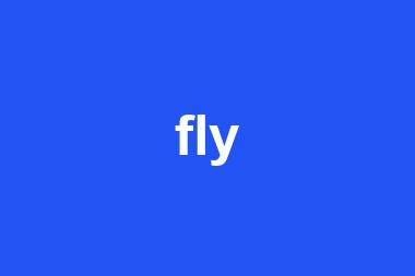 fly