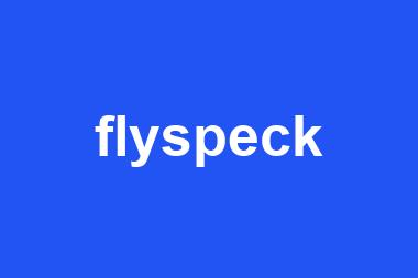 flyspeck